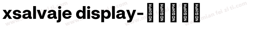 xsalvaje display字体转换